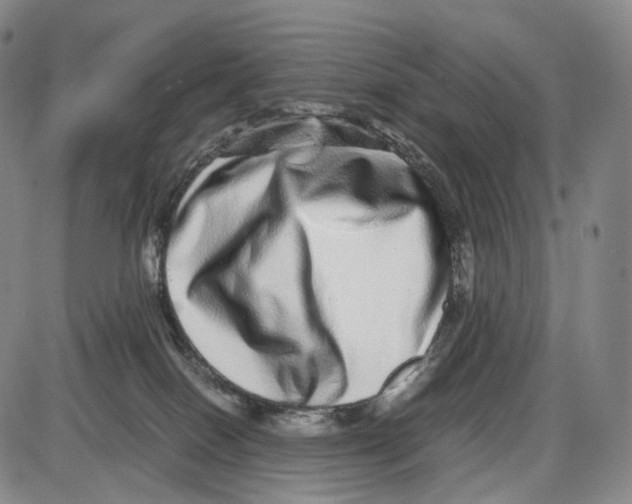 X0000085050086200704021330