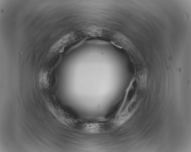 X0000085050088200704021330