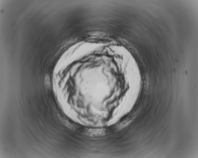 X0000085050089200704021330