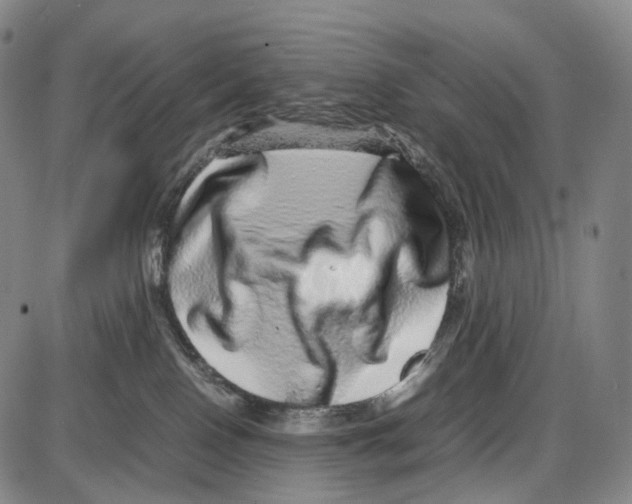 X0000085050090200704021330