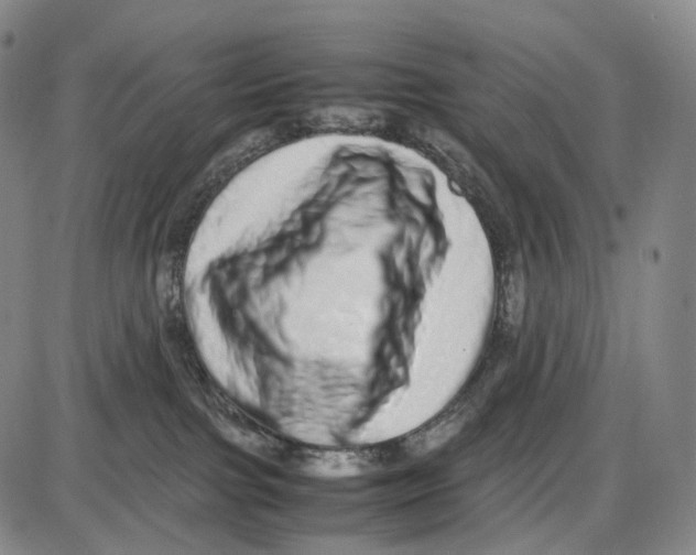 X0000085050091200704021330