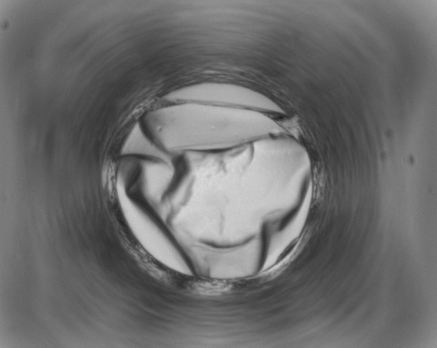 X0000085050094200704021330