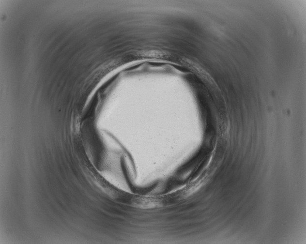 X0000085050095200704021330