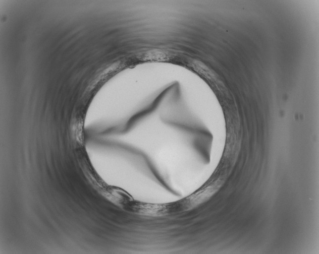 X0000085050096200704021330