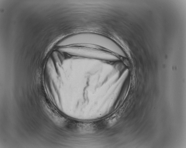 X0000085050107200704021329