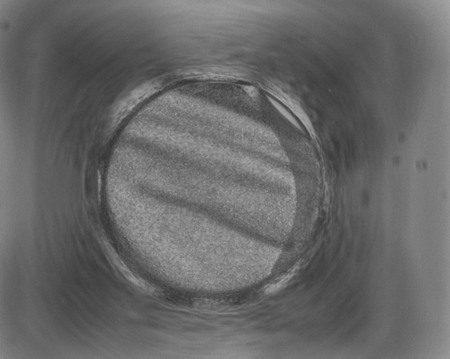 X0000085050109200704021329