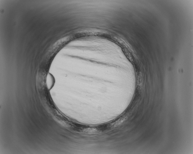 X0000085050119200704021329