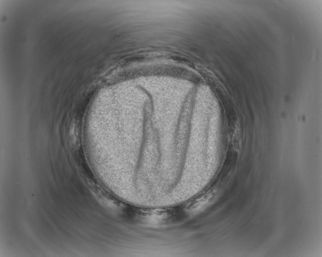 X0000085050131200704021329