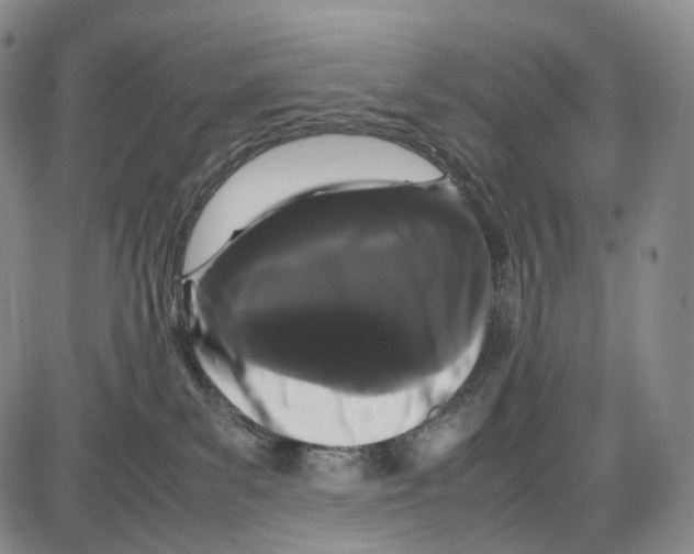 X0000085050139200704021329
