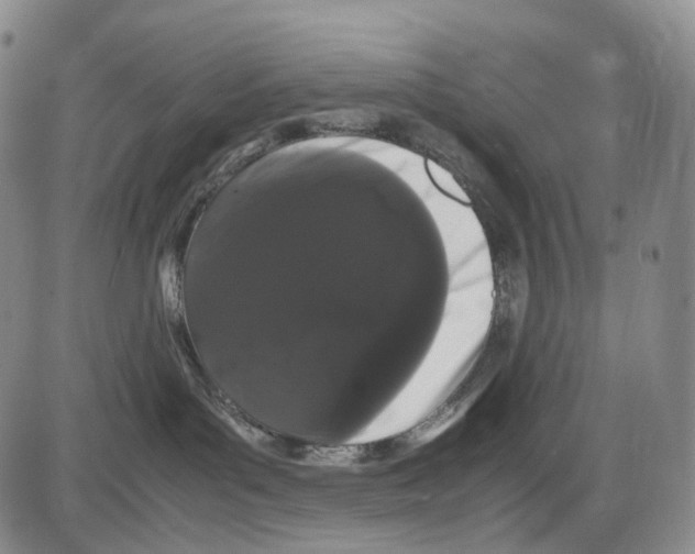 X0000085050143200704021329