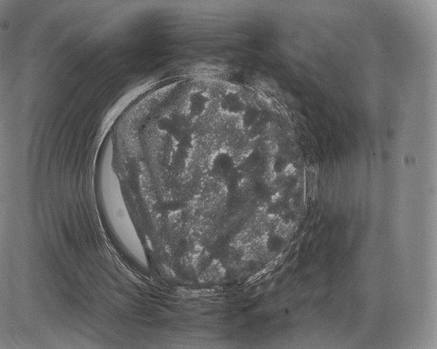 X0000085050147200704021328