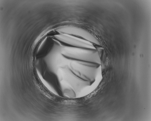 X0000085050150200704021328