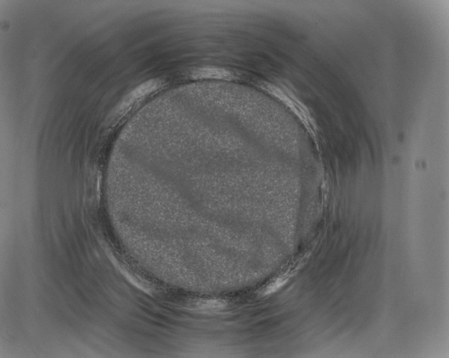 X0000085050157200704021328
