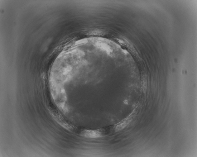 X0000085050167200704021328