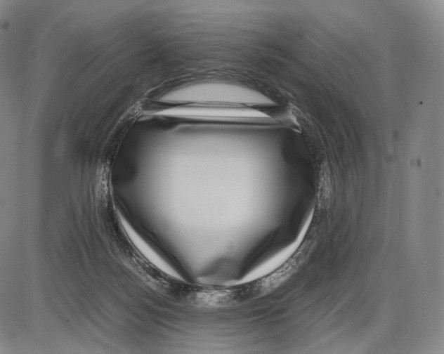 X0000085050172200704021328