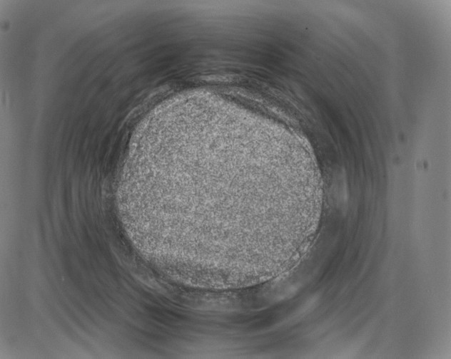 X0000085050175200704021328