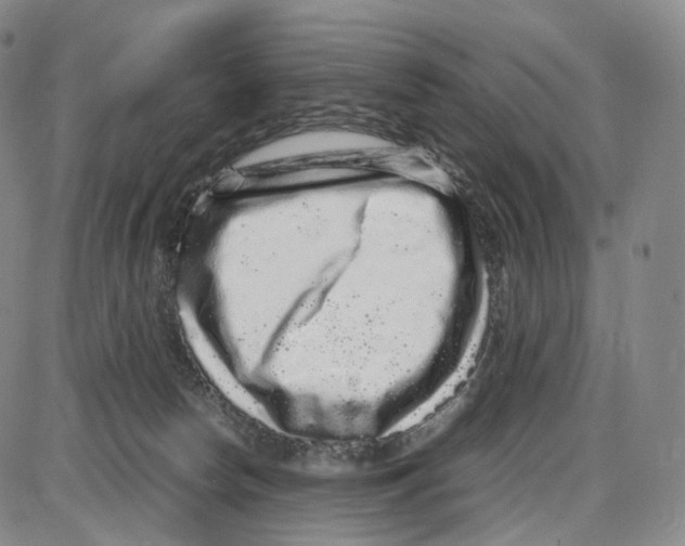 X0000085050178200704021329