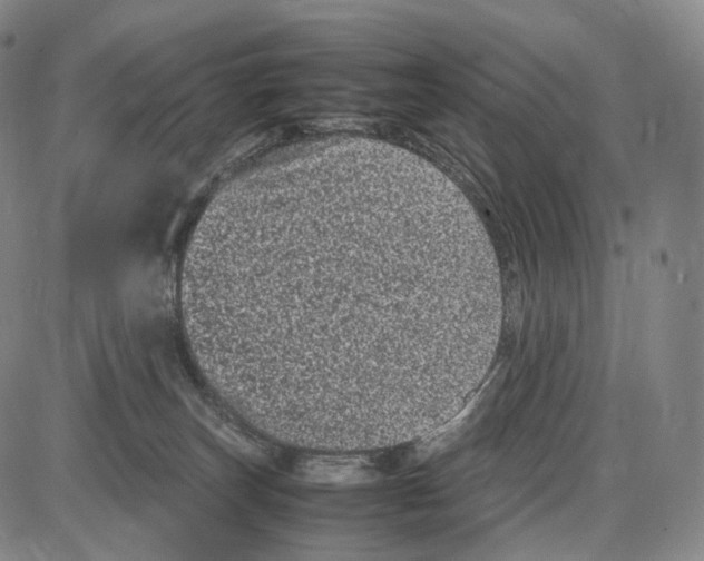X0000085050179200704021329