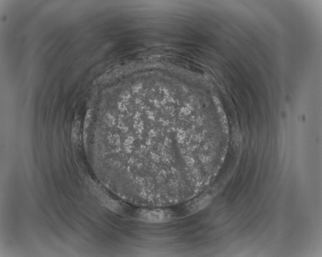 X0000085050181200704021329