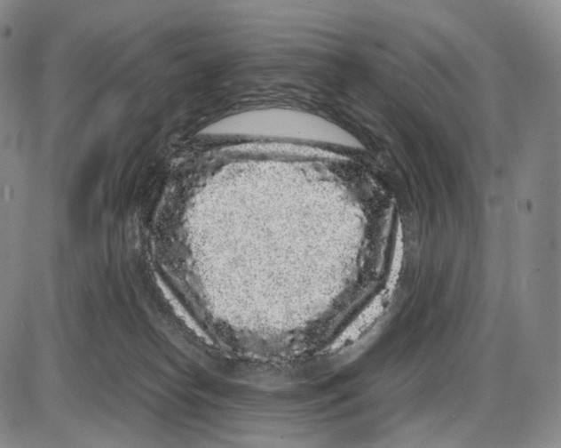 X0000085050182200704021329