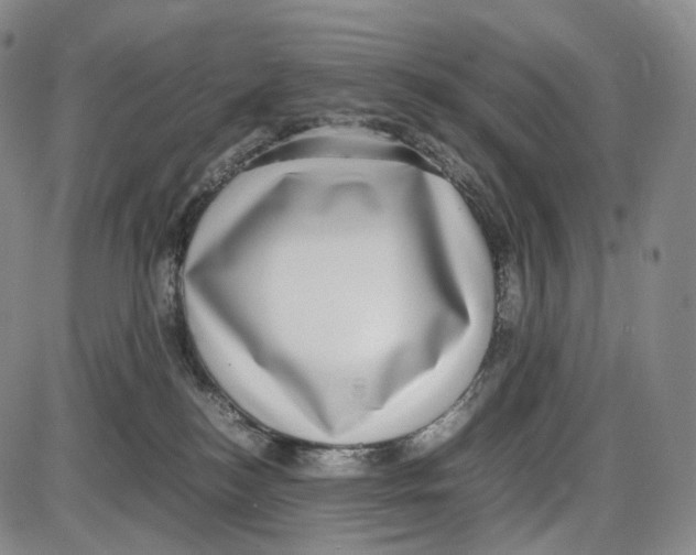 X0000085050184200704021329