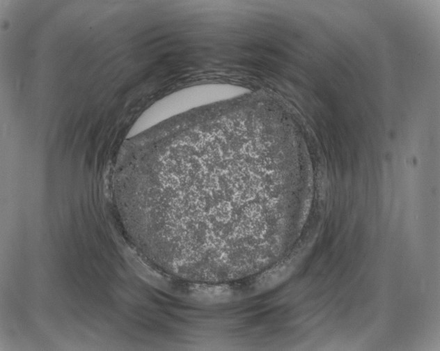 X0000085050185200704021329