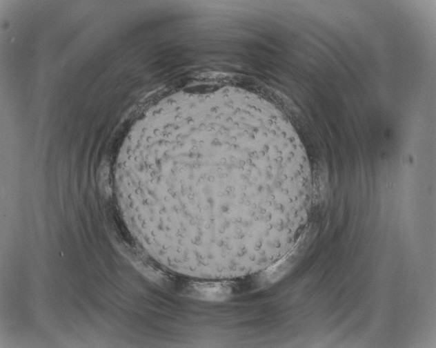 X0000085050187200704021329