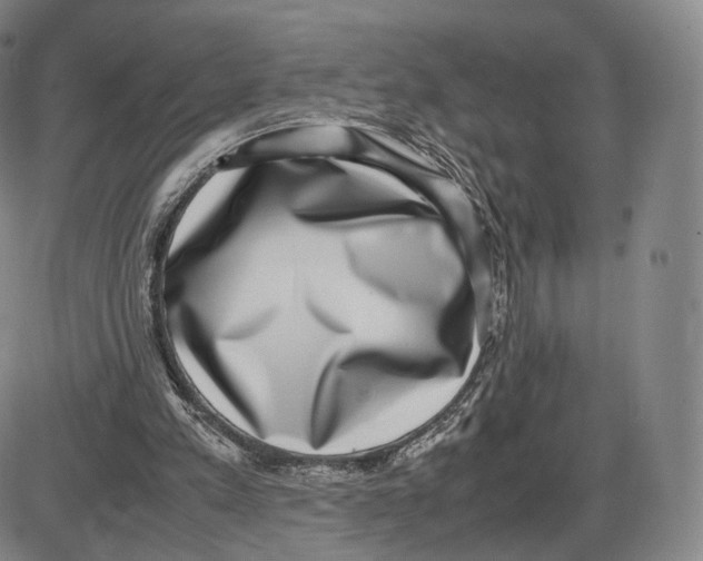 X0000085050197200704021328