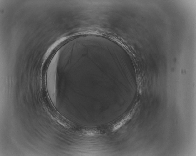 X0000085050200200704021328