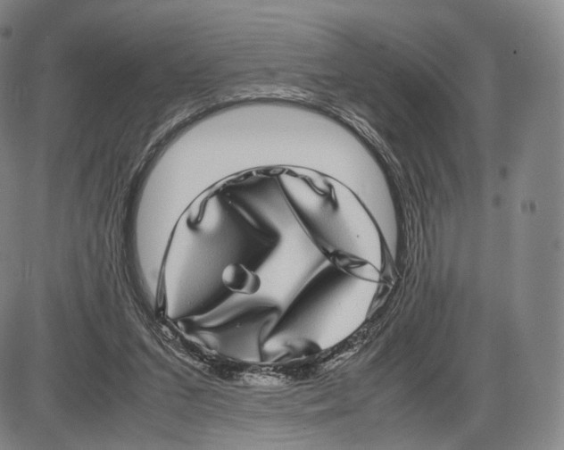 X0000085050207200704021328