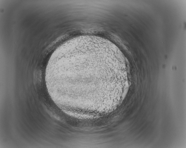 X0000085050211200704021328