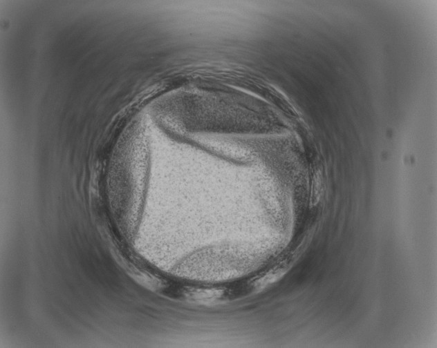X0000085050217200704021328