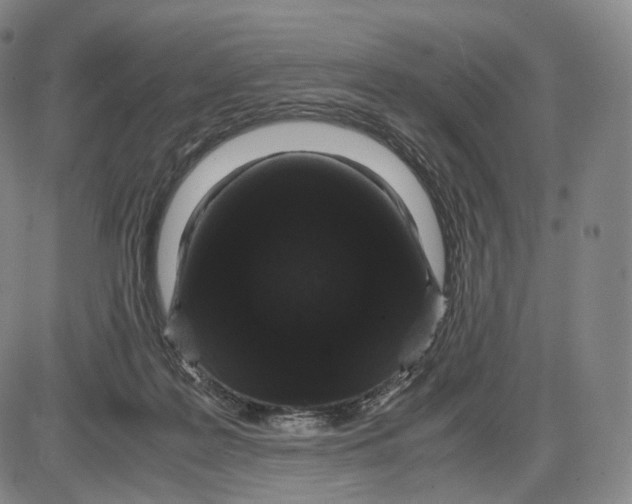 X0000085050219200704021328