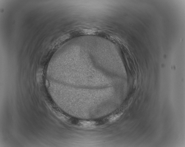 X0000085050221200704021327