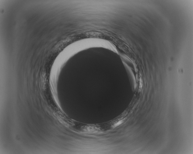 X0000085050223200704021327