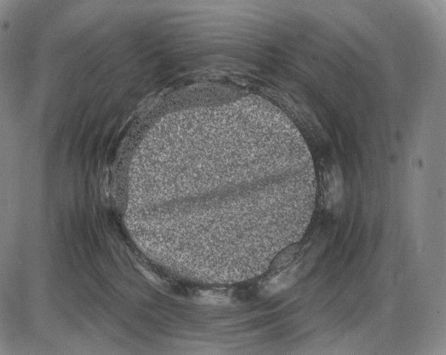 X0000085050232200704021327