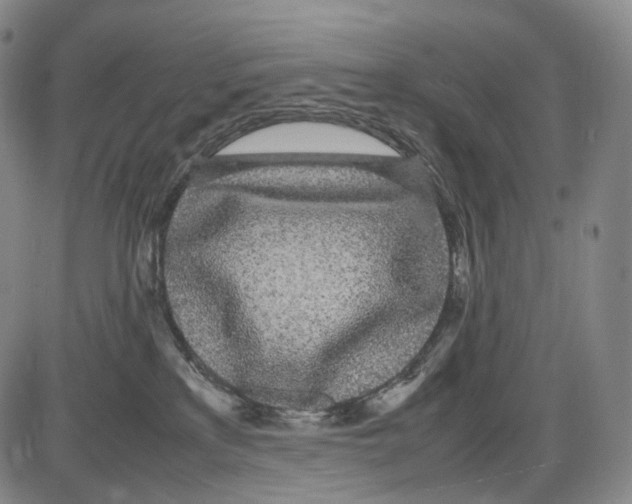 X0000085050233200704021327
