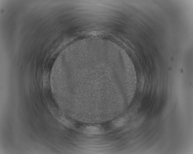 X0000085050236200704021327