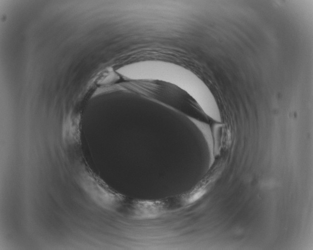 X0000085050239200704021327