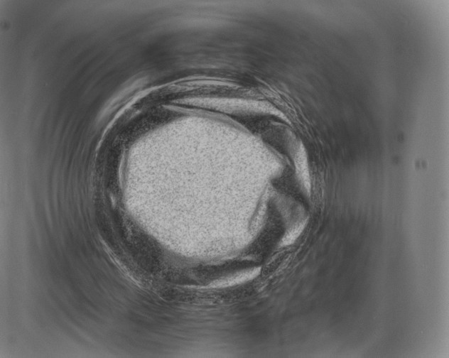 X0000085050243200704021326