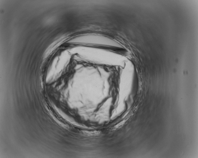 X0000085050245200704021326