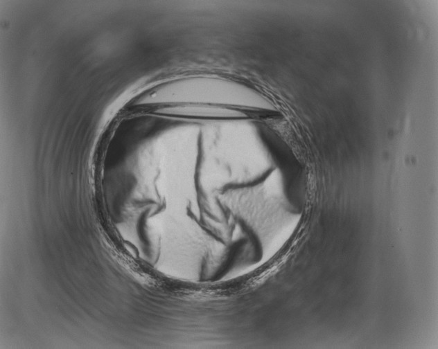 X0000085050246200704021326