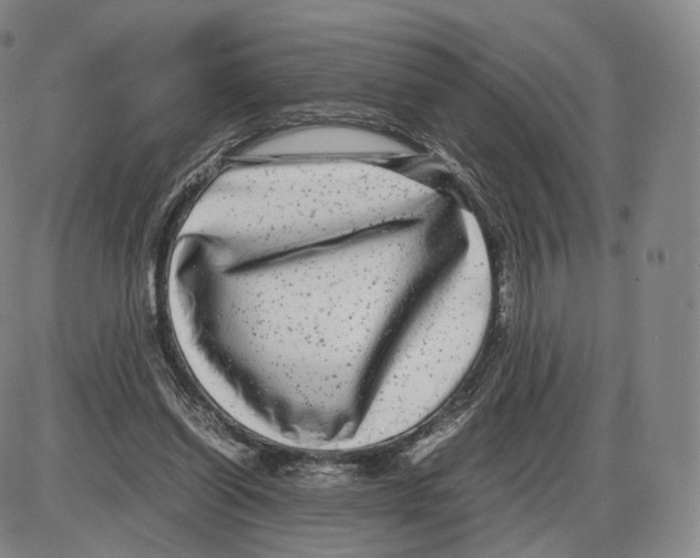 X0000085050254200704021327