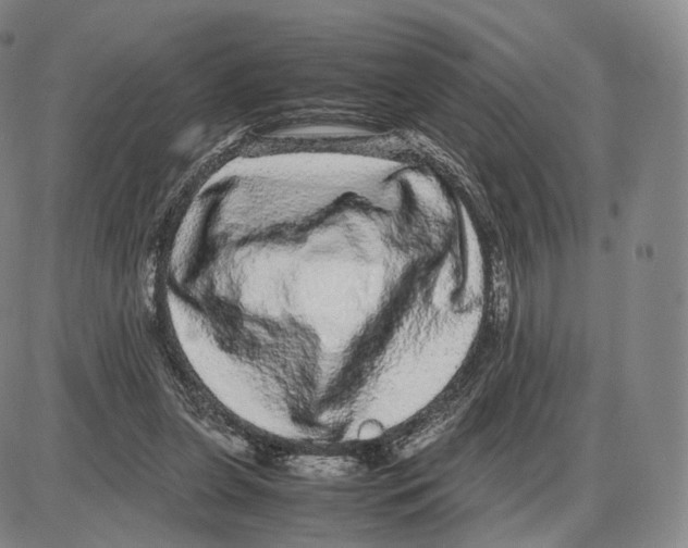 X0000085050255200704021327