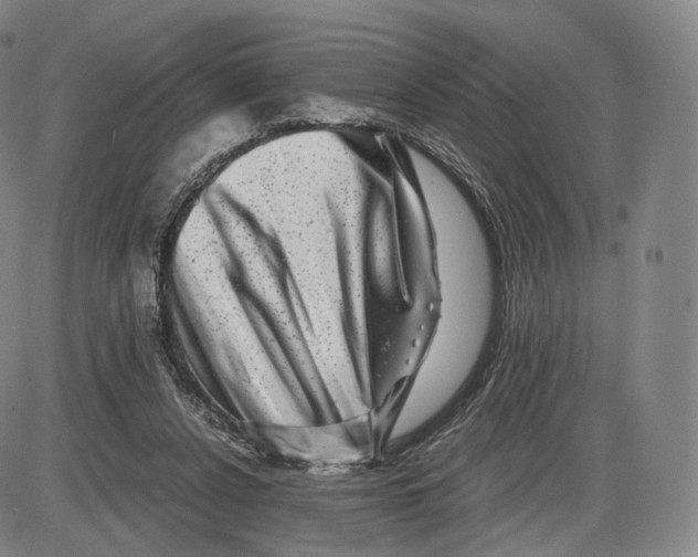 X0000085050256200704021327