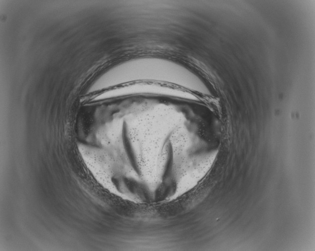 X0000085050258200704021327