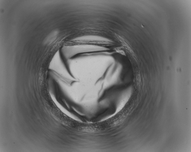 X0000085050259200704021327