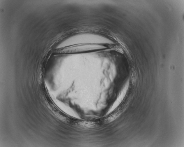 X0000085050261200704021327