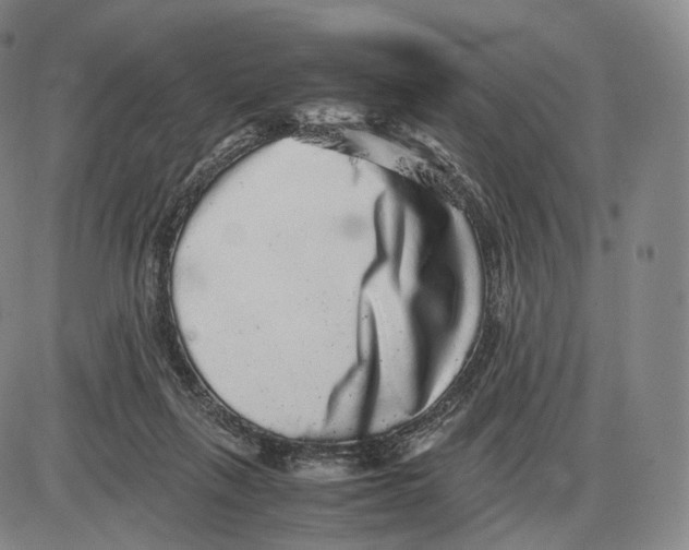 X0000085050263200704021327