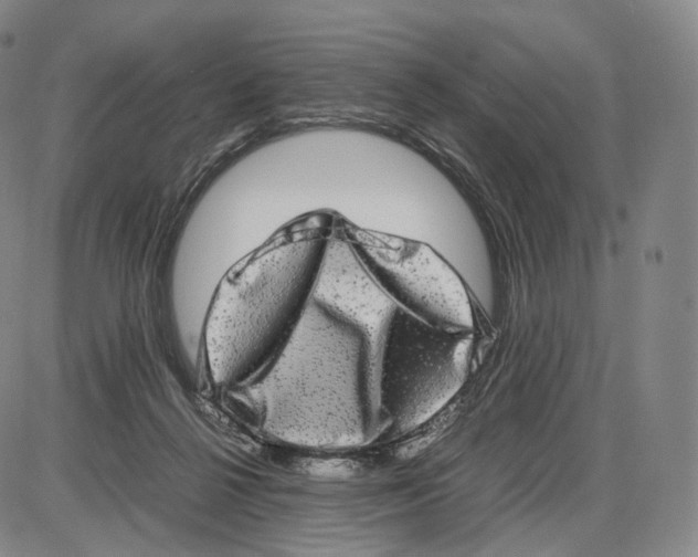 X0000085050264200704021327